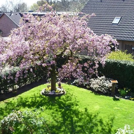 Hortensie, *