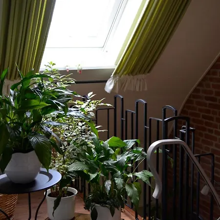 Appartement Hortensie, Schneverdingen