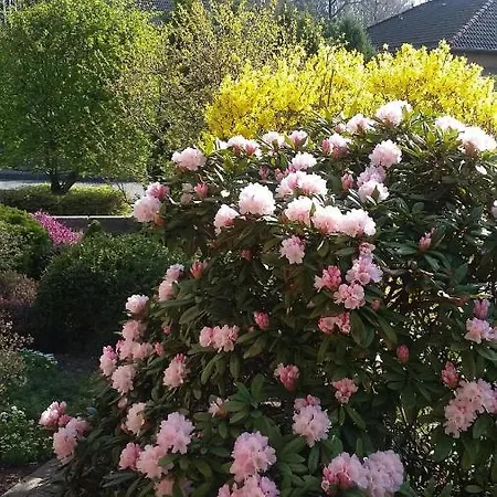 Appartement Hortensie, *