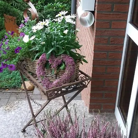 Hortensie,
